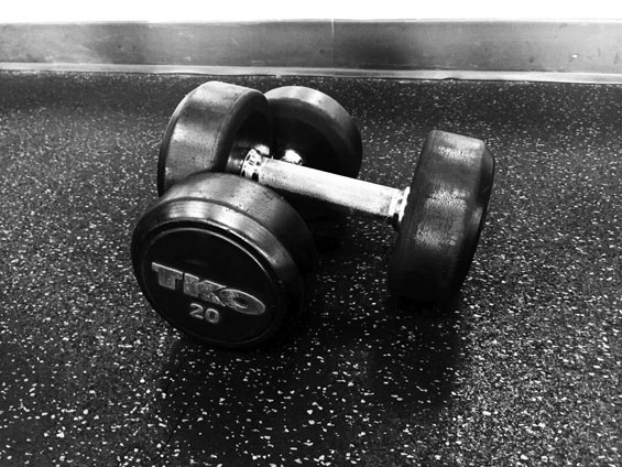 Dumbbell weights